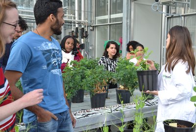 Urban Agriculture and Green Cities