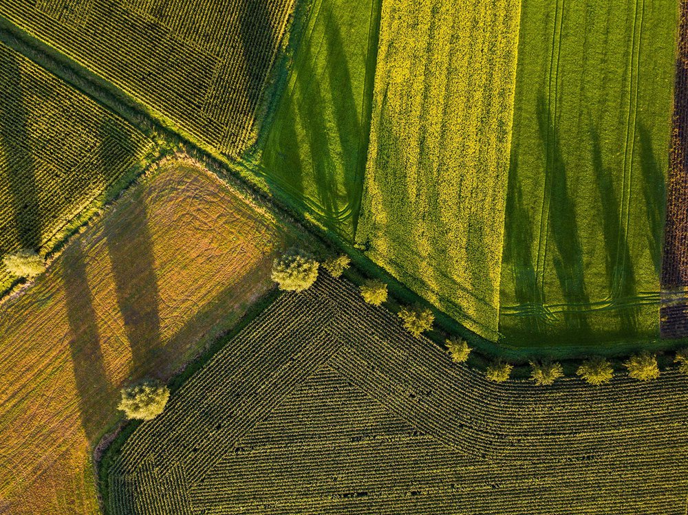 agriculture