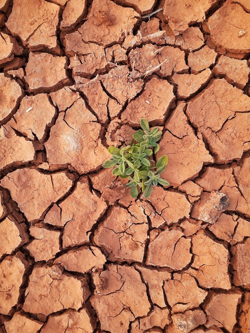 Soil Science