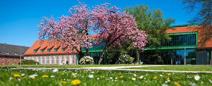 spring_1920x1080_DAAD.jpg