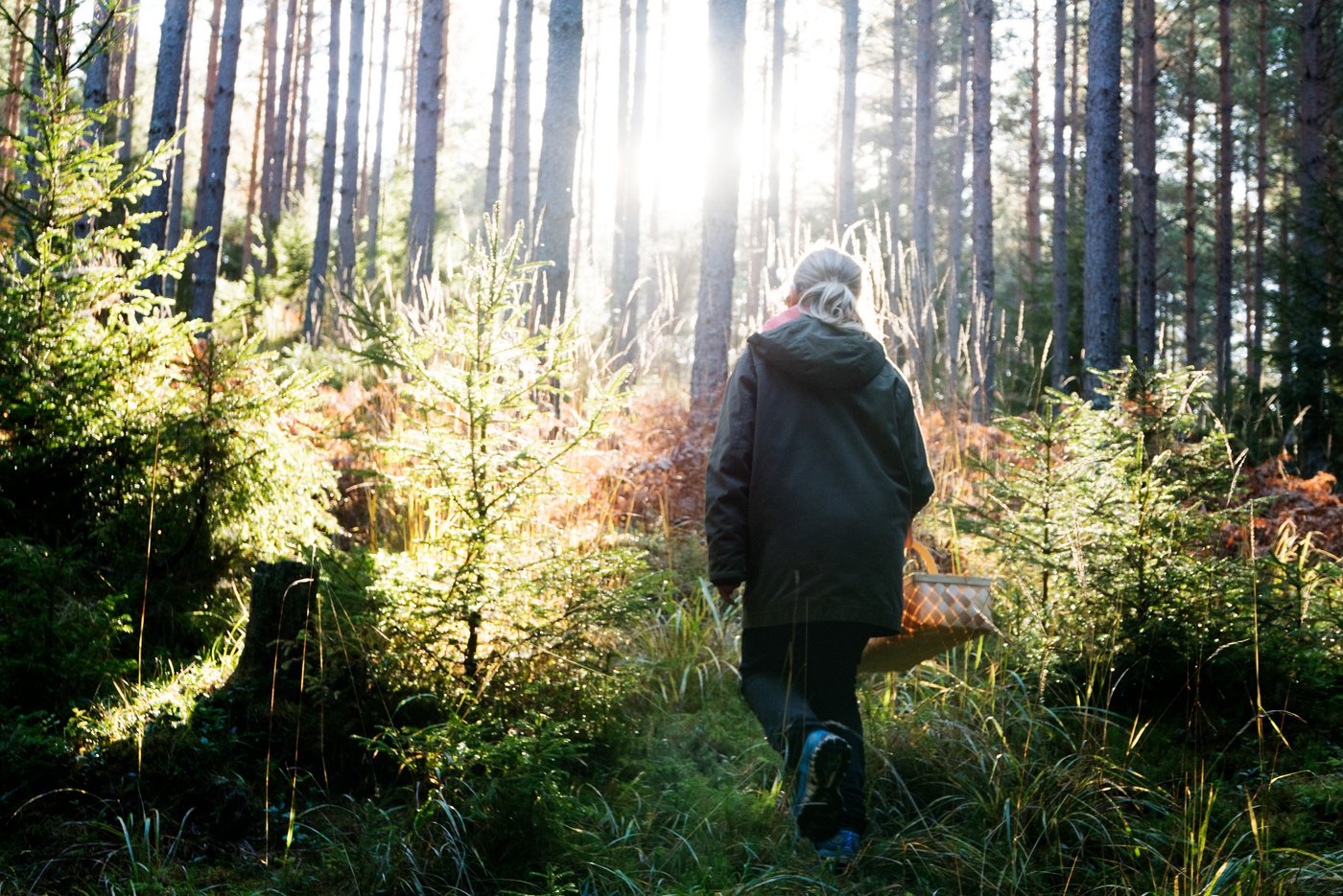 Ulf Lundin/Imagebank.sweden.se
